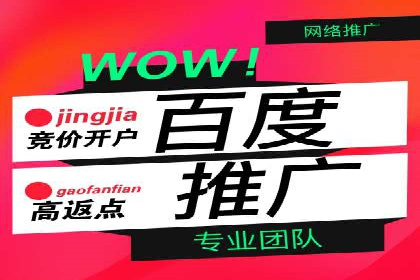 竞价代运营助力企业实现多渠道营销案例
